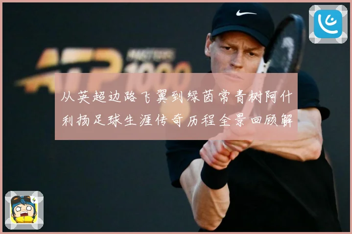 从英超边路飞翼到绿茵常青树阿什利扬足球生涯传奇历程全景回顾解析