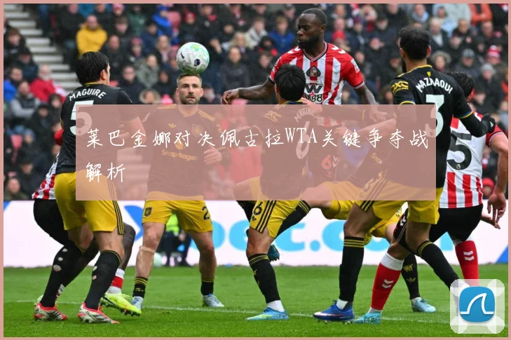 莱巴金娜对决佩古拉WTA关键争夺战解析