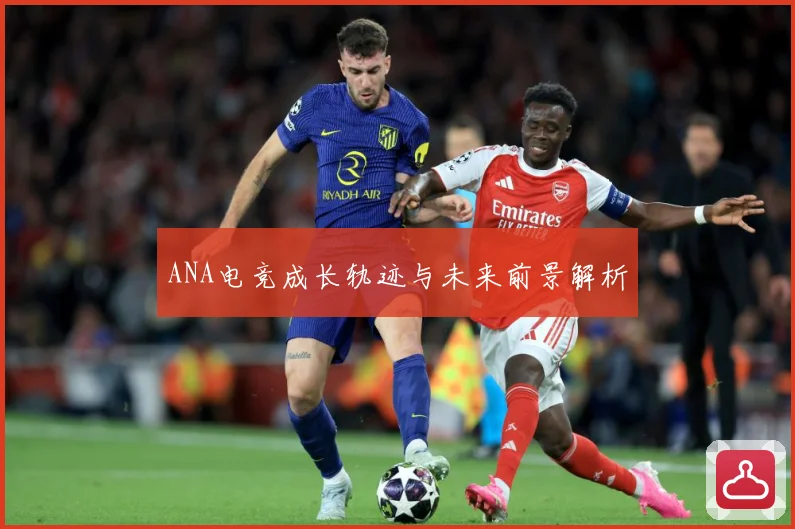 ANA电竞成长轨迹与未来前景解析